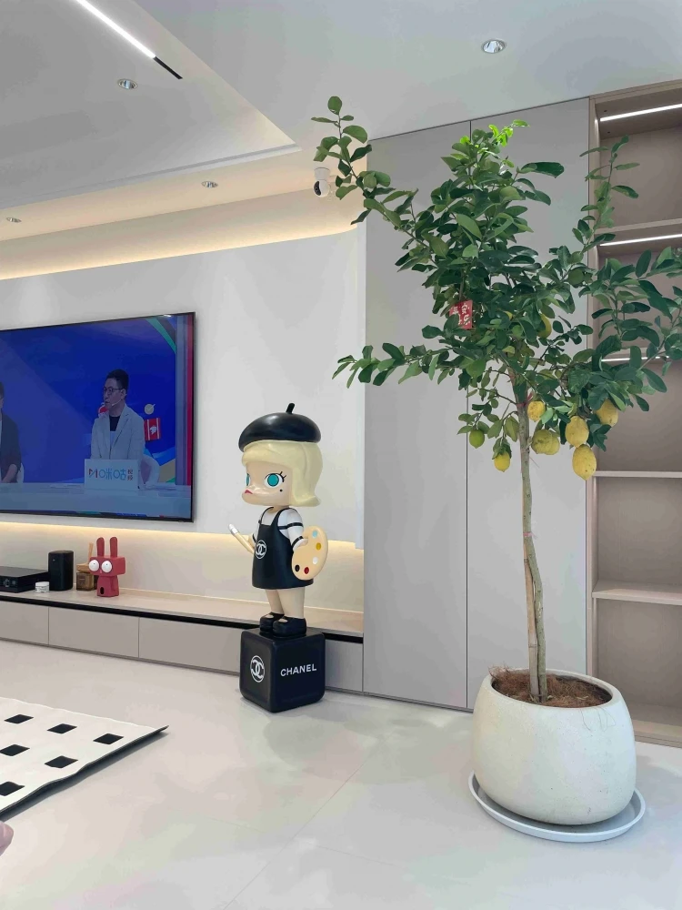 轻奢装修案例图