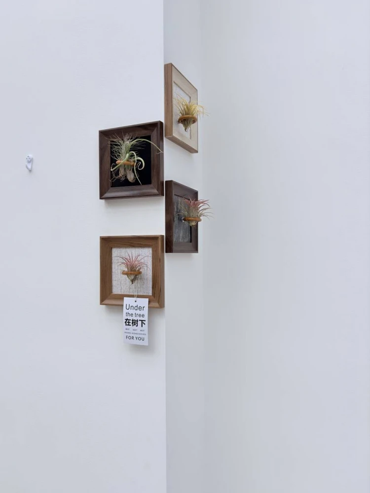 安顺煌城别苑业主专属装修预算规划攻略