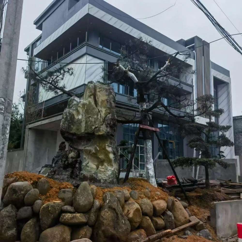 image04_建筑外观与庭院施工实景