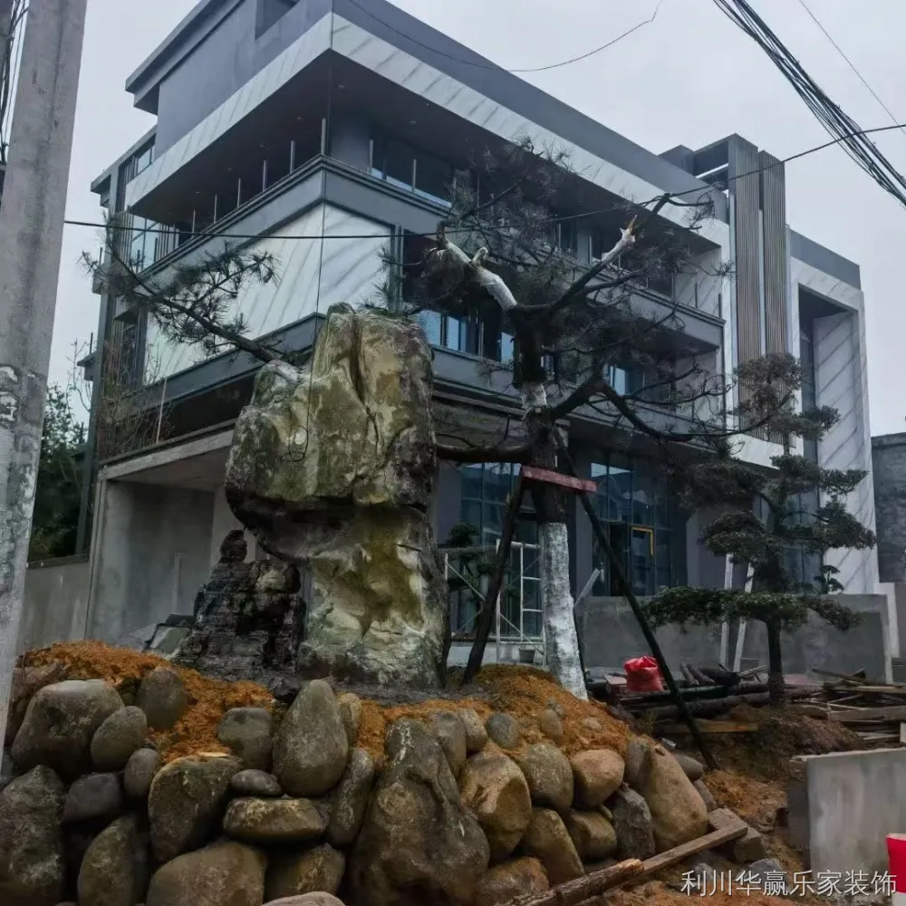 image04_建筑外观与庭院施工实景 image04_建筑外观与庭院施工实景