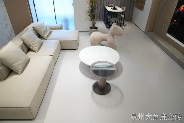 案例图片
