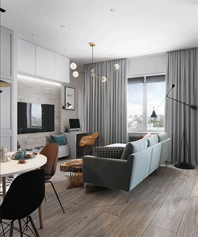 65平一居室2 副本.jpg