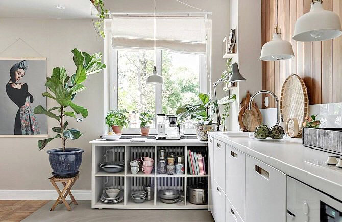 【厨房装修】家居风水：2020年最适合放在厨房的植物，净化空气还招财