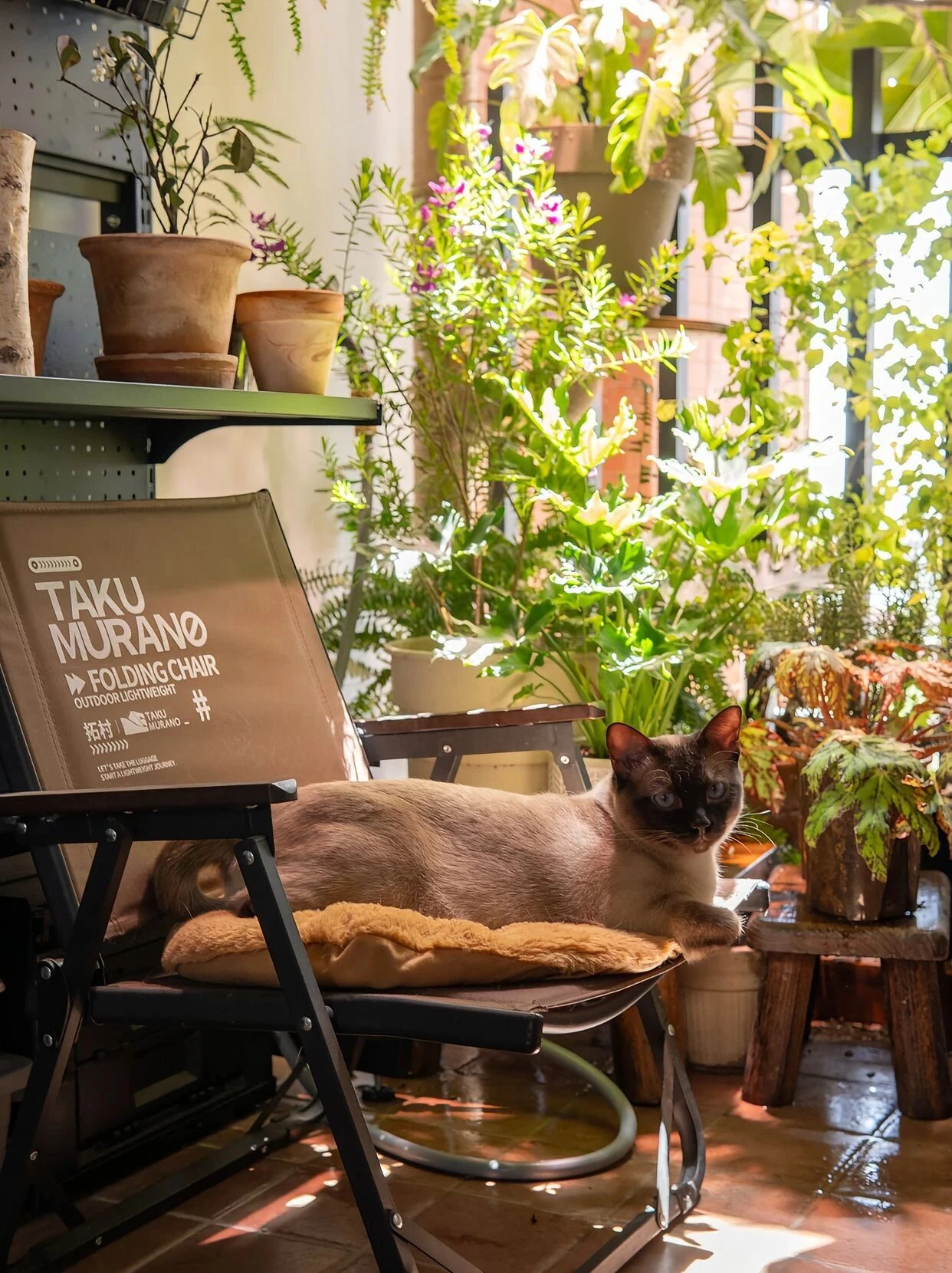 48㎡中古风都是你心之所向