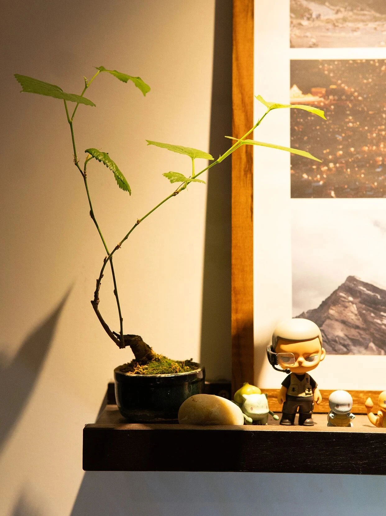 48㎡中古风都是你心之所向