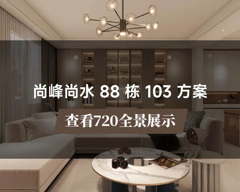 尚峰尚水 88 栋 103 方案