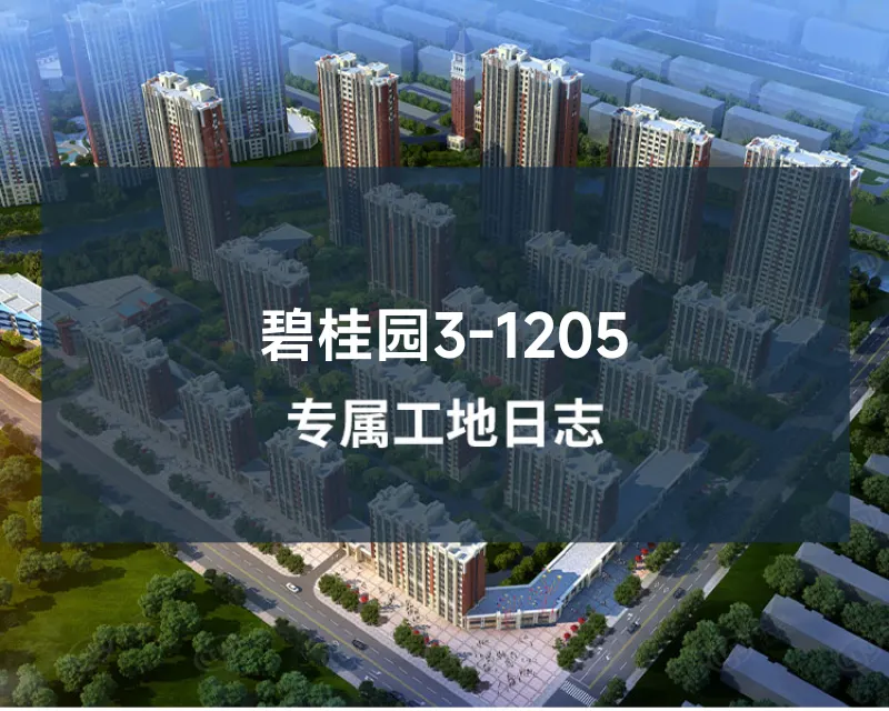 碧桂园3-1205