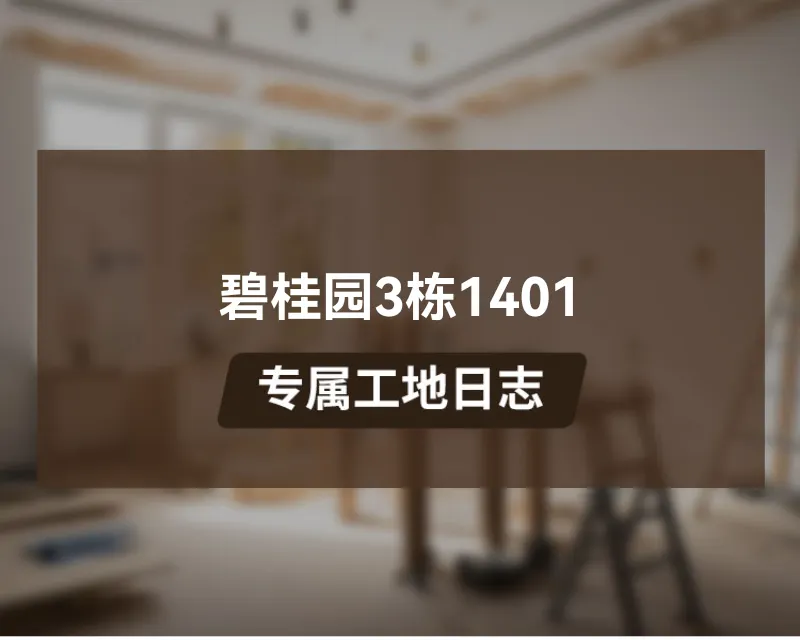 碧桂园3栋1401